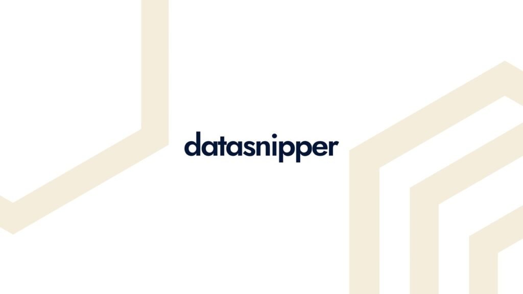 datasnipper
